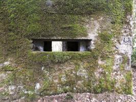 Ligne Maginot - BA50 - ALLÉE DES CHEVREUILS - (Blockhaus pour arme infanterie) - 