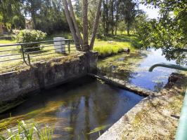 Ligne Maginot - NEUNHOFFEN (BARRAGE 07) - (Inondation défensive) - Reste de la retenue passant sous la route