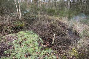 Ligne Maginot - NEUVE-FORGE OUEST - (Blockhaus pour canon) - Seule la fouille existe.