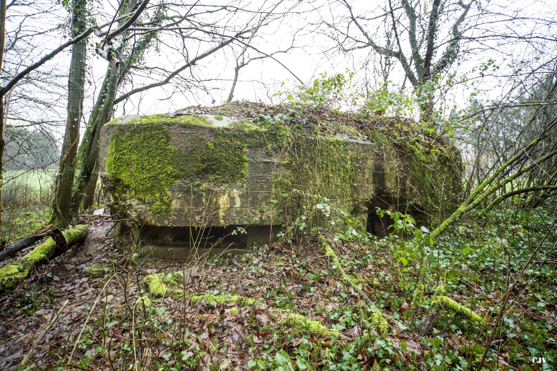 Ligne Maginot - BA2 - ETANG DE NEUVE-FORGE - (Blockhaus pour canon) - 