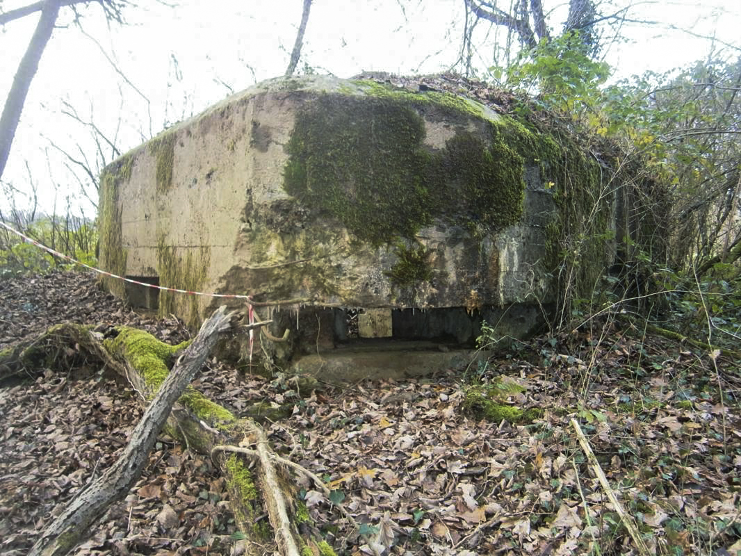Ligne Maginot - BA2 - ETANG DE NEUVE-FORGE - (Blockhaus pour canon) - 