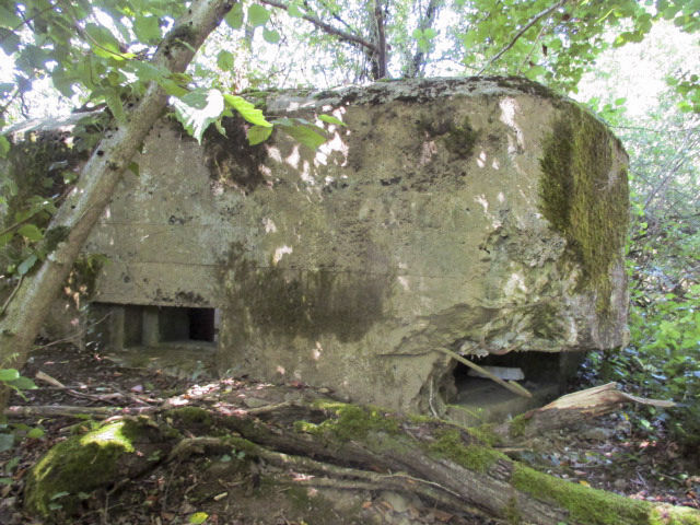 Ligne Maginot - BA2 - ETANG DE NEUVE-FORGE - (Blockhaus pour canon) - 