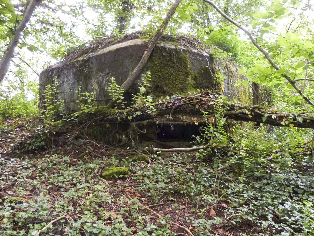 Ligne Maginot - BA2 - ETANG DE NEUVE-FORGE - (Blockhaus pour canon) - 