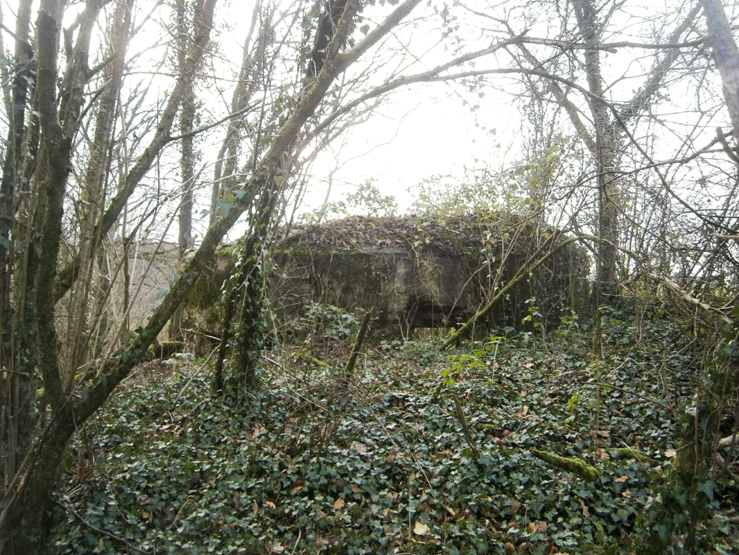 Ligne Maginot - BA2 - ETANG DE NEUVE-FORGE - (Blockhaus pour canon) - 