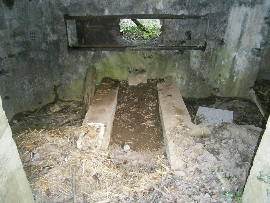 Ligne Maginot - BA2 - ETANG DE NEUVE-FORGE - (Blockhaus pour canon) - 
