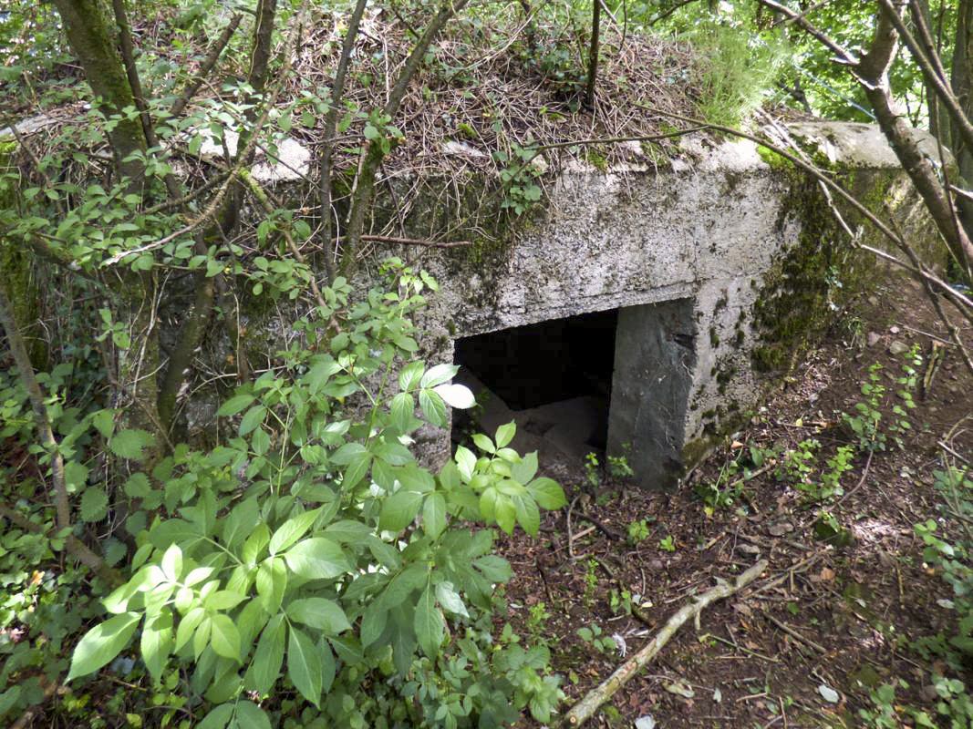 Ligne Maginot - BA2 - ETANG DE NEUVE-FORGE - (Blockhaus pour canon) - 