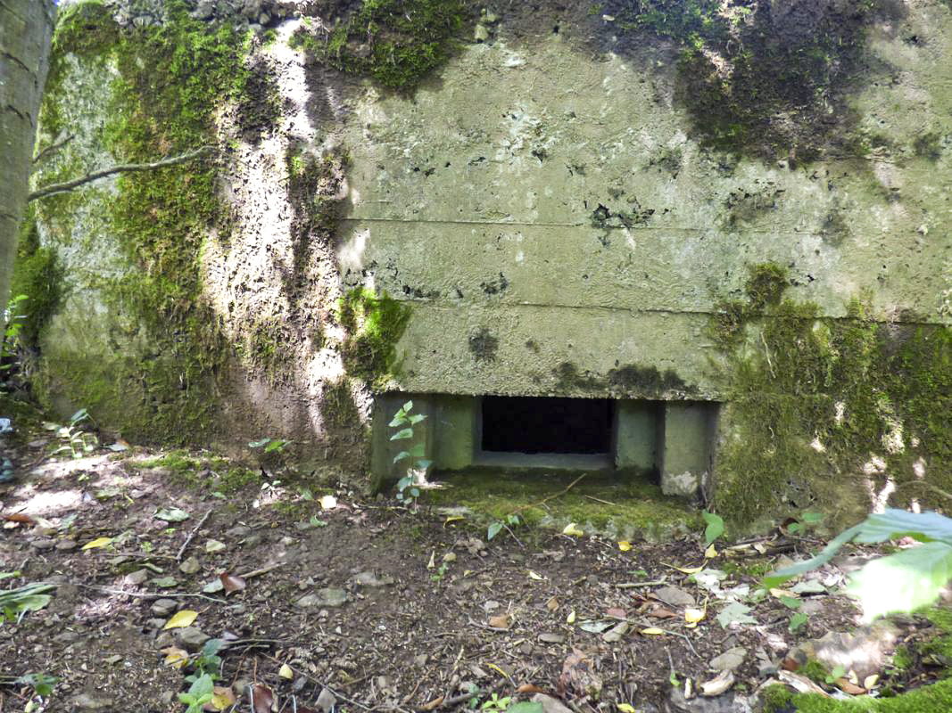 Ligne Maginot - BA2 - ETANG DE NEUVE-FORGE - (Blockhaus pour canon) - 