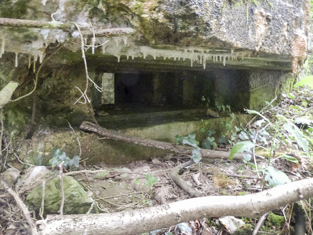 Ligne Maginot - BA2 - ETANG DE NEUVE-FORGE - (Blockhaus pour canon) - 