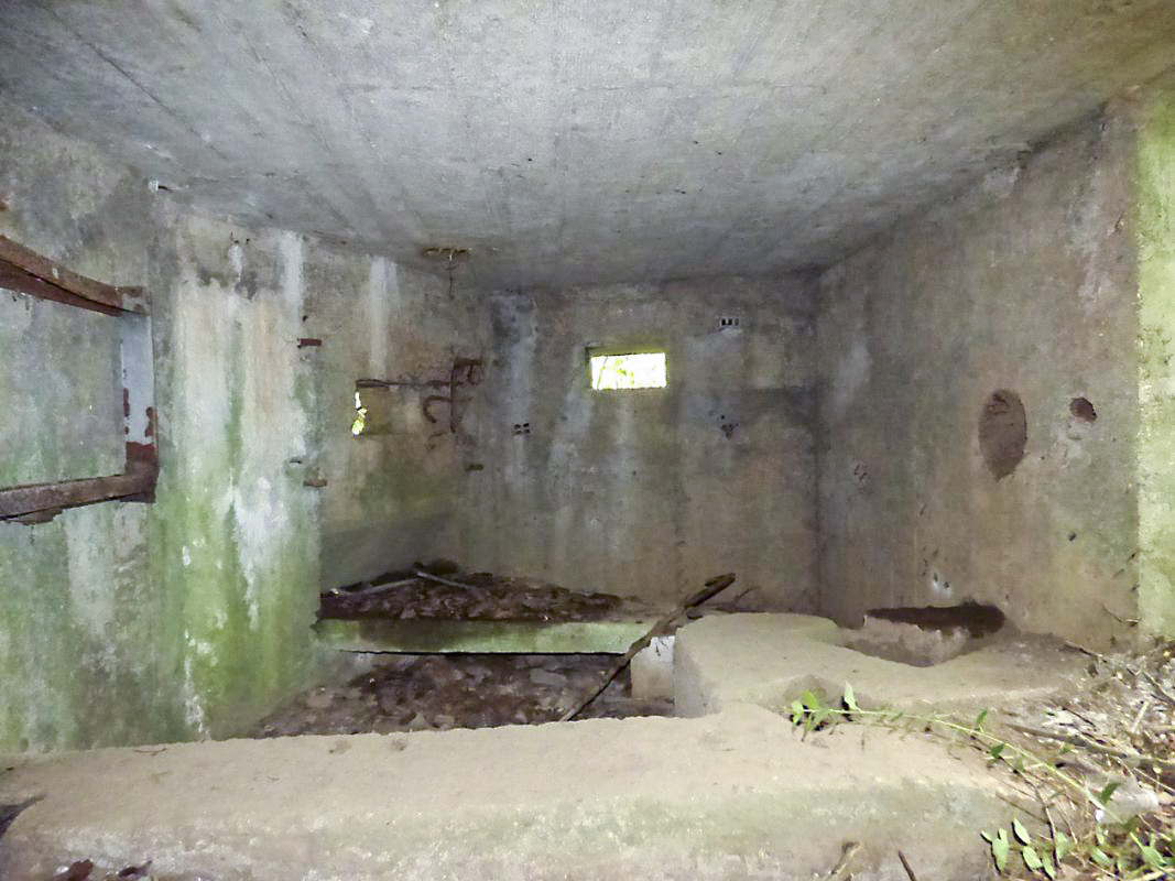 Ligne Maginot - BA2 - ETANG DE NEUVE-FORGE - (Blockhaus pour canon) - 