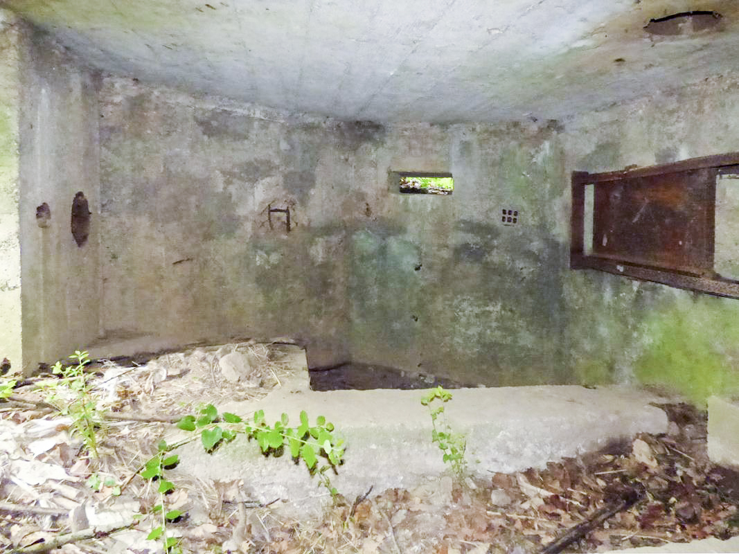 Ligne Maginot - BA2 - ETANG DE NEUVE-FORGE - (Blockhaus pour canon) - 