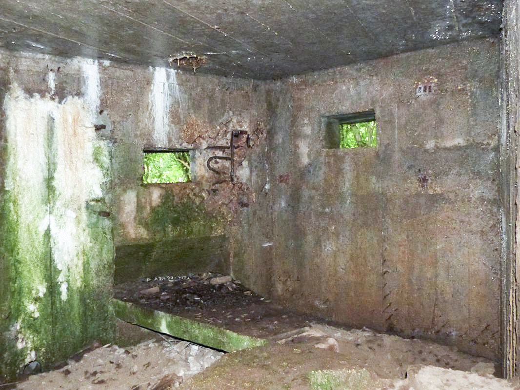 Ligne Maginot - BA2 - ETANG DE NEUVE-FORGE - (Blockhaus pour canon) - 