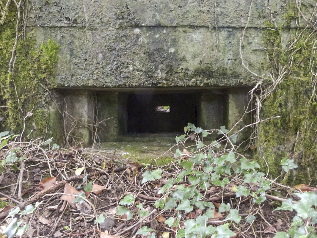 Ligne Maginot - BA2 - ETANG DE NEUVE-FORGE - (Blockhaus pour canon) - 