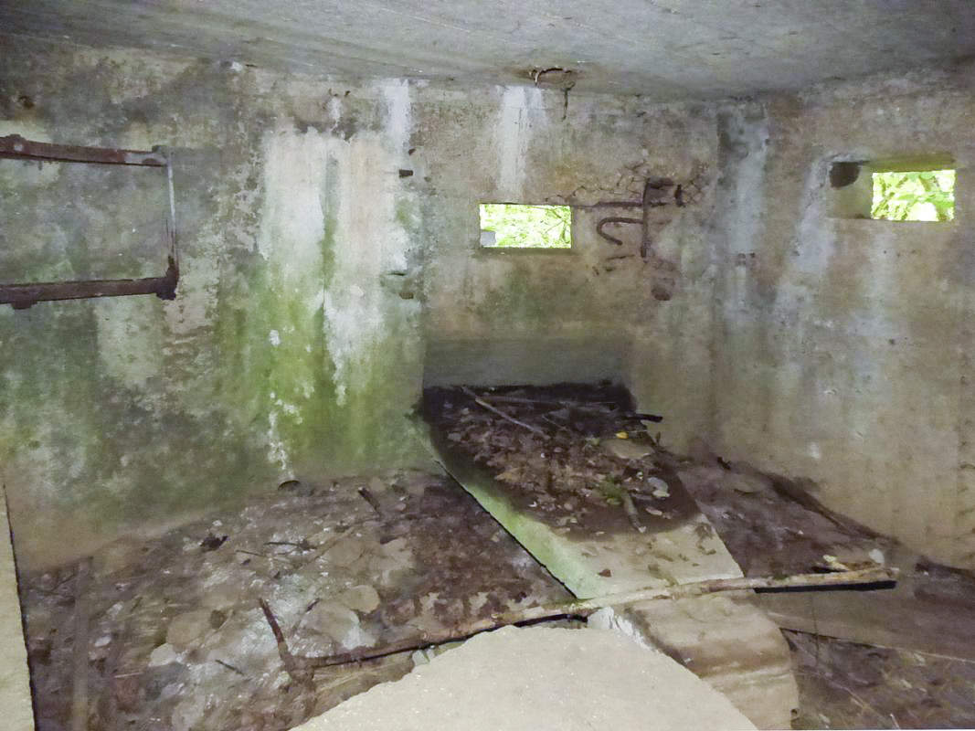 Ligne Maginot - BA2 - ETANG DE NEUVE-FORGE - (Blockhaus pour canon) - 