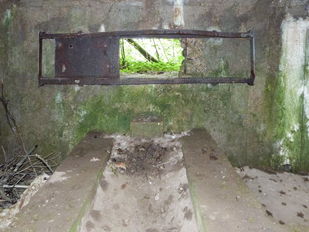 Ligne Maginot - BA2 - ETANG DE NEUVE-FORGE - (Blockhaus pour canon) - 