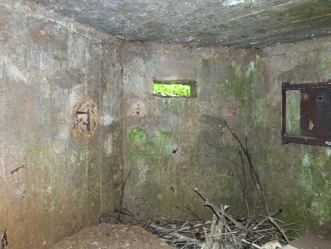Ligne Maginot - BA2 - ETANG DE NEUVE-FORGE - (Blockhaus pour canon) - 