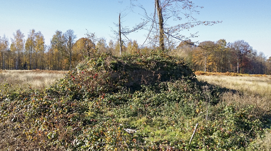 Ligne Maginot - BA4 - ROUTE DE NEUVE FORGE - (Blockhaus pour canon) - 