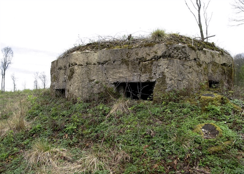 Ligne Maginot - BA20 - LA LIMITE SUD - (Blockhaus pour canon) - 