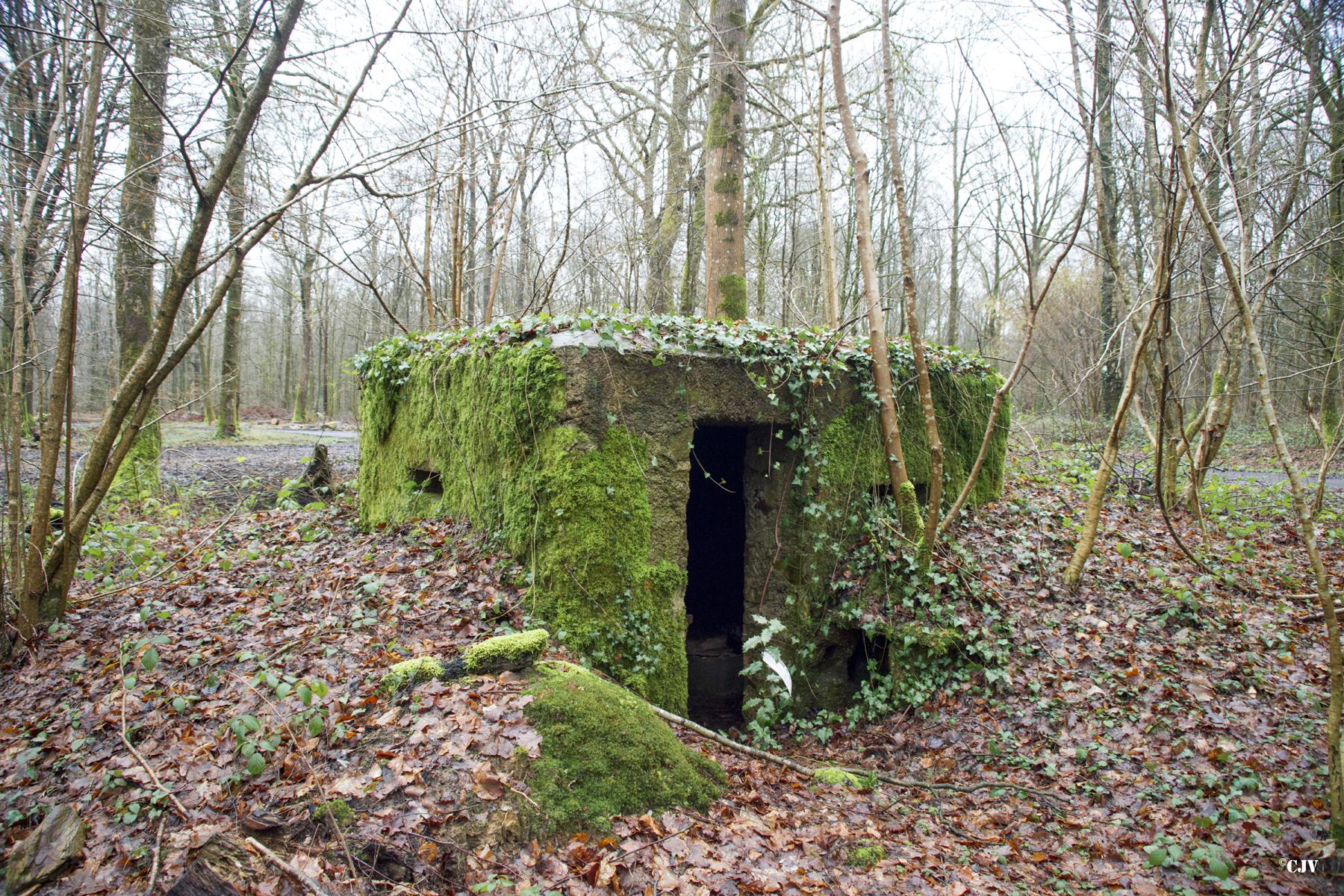 Ligne Maginot - BA22 - ROUTE FORESTIÈRE MEUNIER NORD - (Blockhaus pour arme infanterie) - 