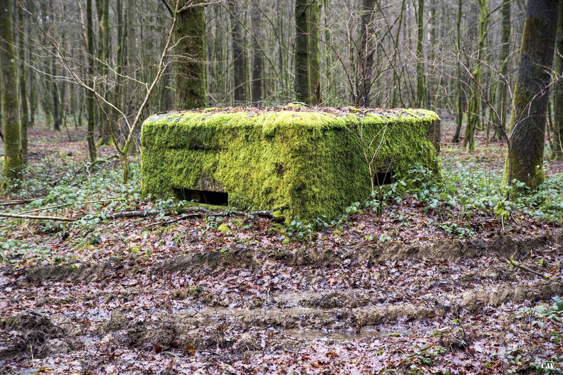 Ligne Maginot - BA23 - ROUTE FORESTIÈRE MEUNIER SUD - (Blockhaus pour arme infanterie) - 