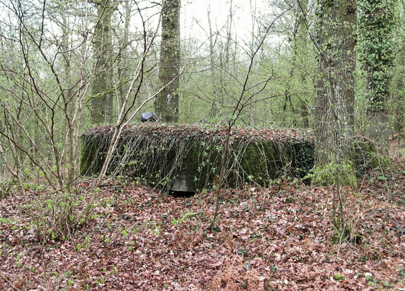 Ligne Maginot - BA27 - WATIGNY NORD - (Blockhaus pour canon) - 