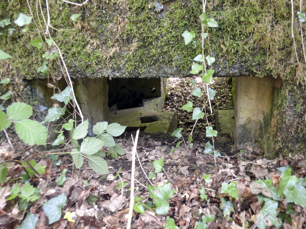 Ligne Maginot - BA27 - WATIGNY NORD - (Blockhaus pour canon) - 