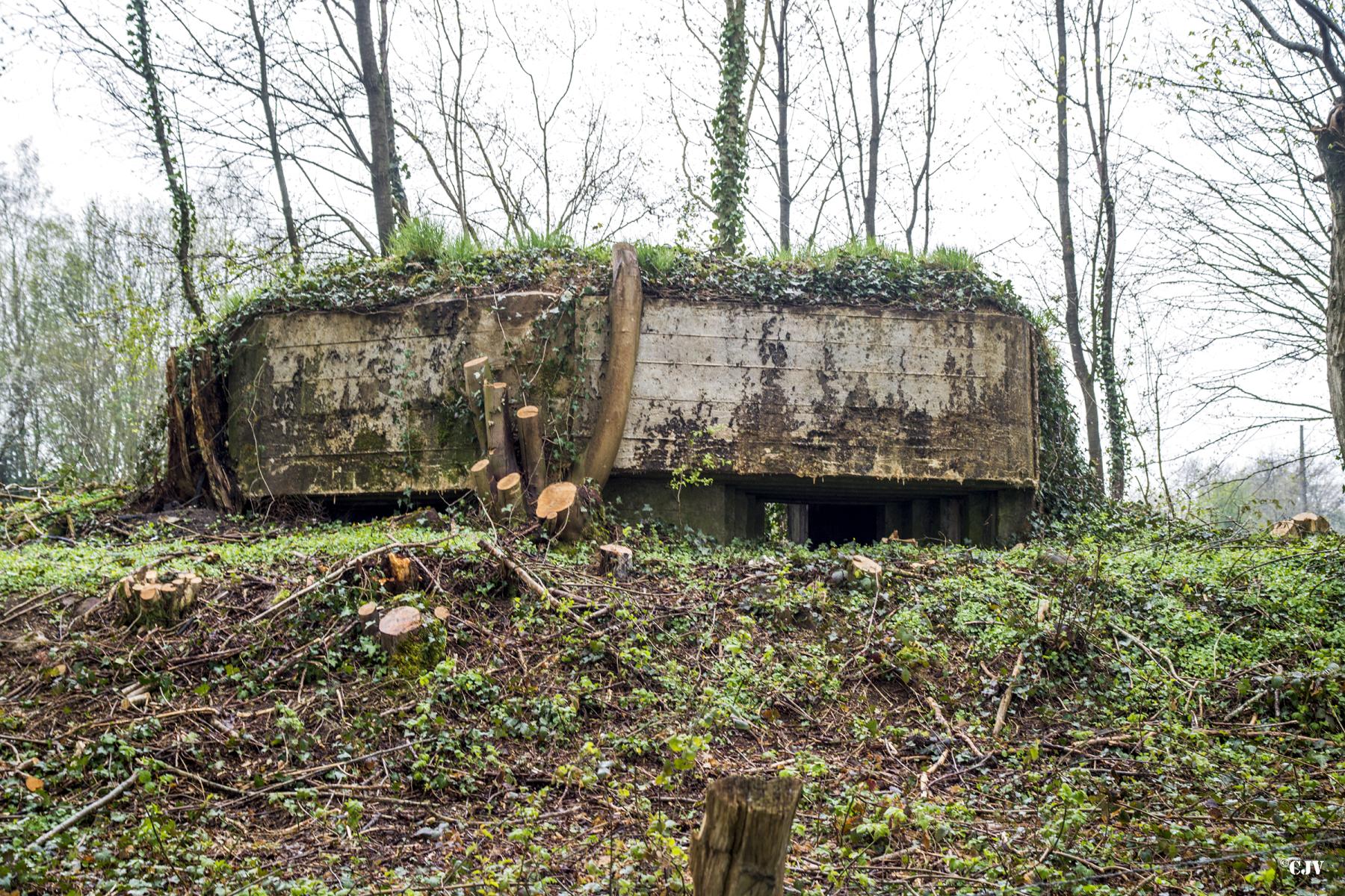 Ligne Maginot - BA37 - LE PAVILLON NORD - (Blockhaus pour canon) - 