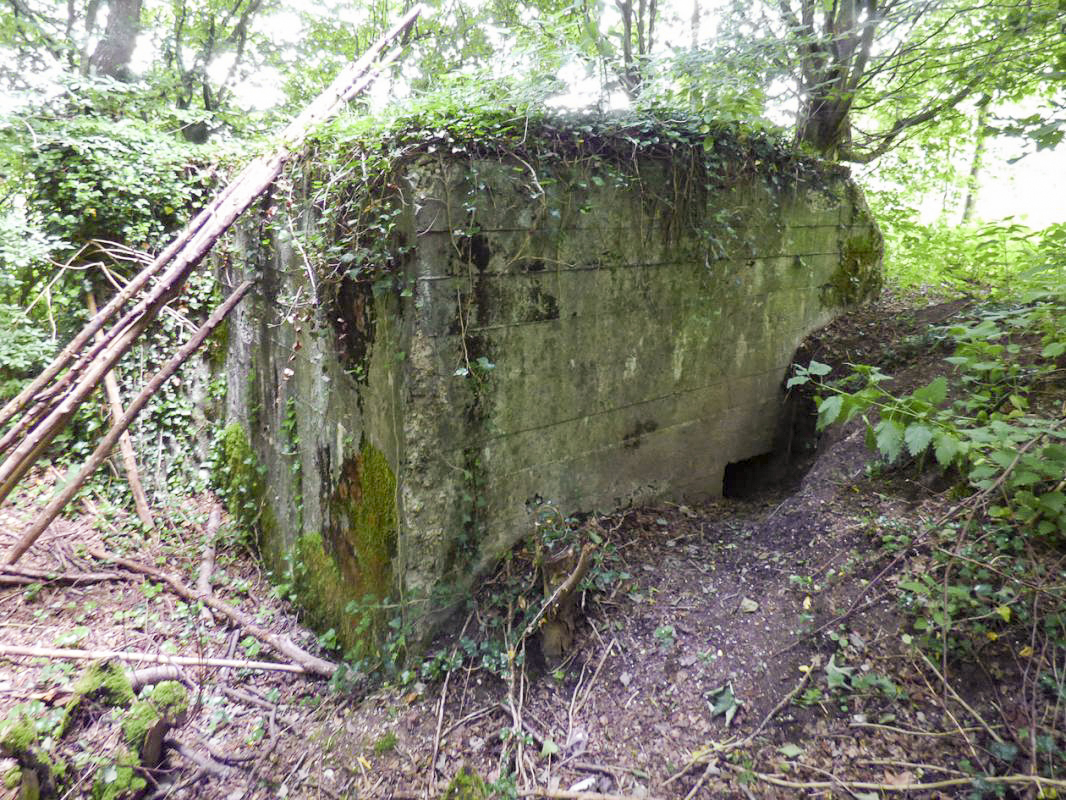 Ligne Maginot - BA39 - TERRE POCHET - (Observatoire d'infanterie) - 