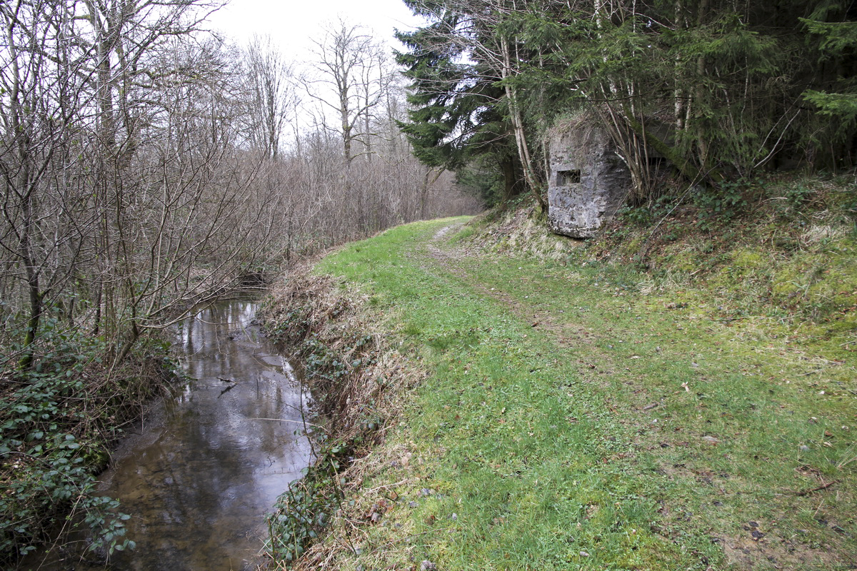 Ligne Maginot - BA44TER - TAILLE DE LA MOTTE - (Blockhaus pour arme infanterie) - 