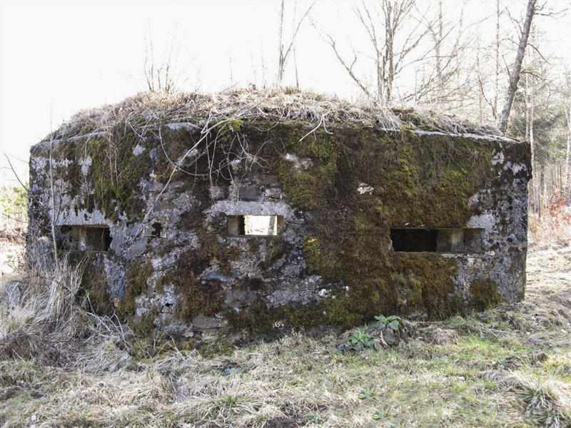 Ligne Maginot - BA49 - ALLÉE GENEVIÈVE - (Blockhaus pour arme infanterie) - 