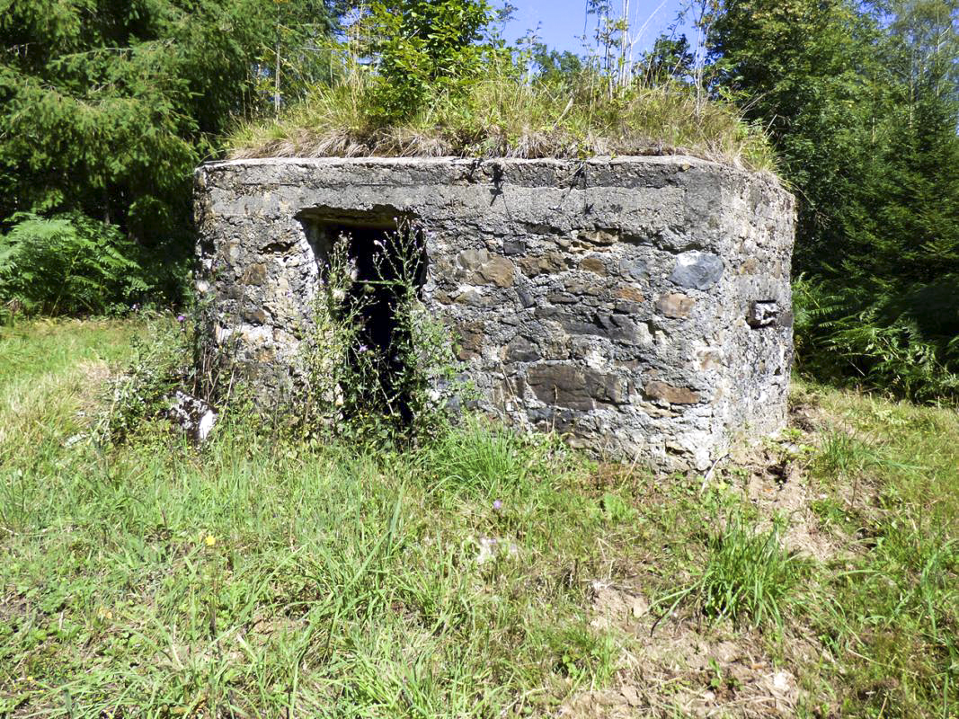 Ligne Maginot - BA49 - ALLÉE GENEVIÈVE - (Blockhaus pour arme infanterie) - 