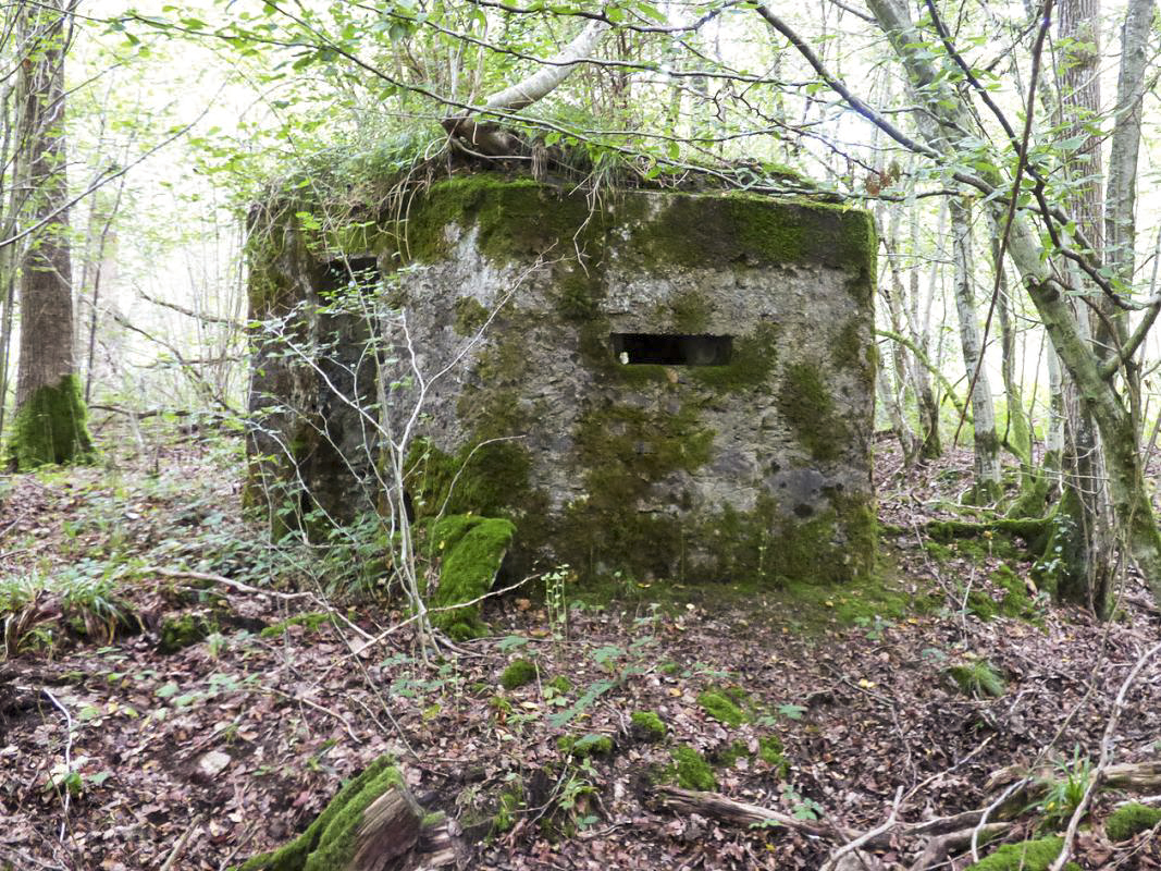 Ligne Maginot - BA50 - ALLÉE DES CHEVREUILS - (Blockhaus pour arme infanterie) - 