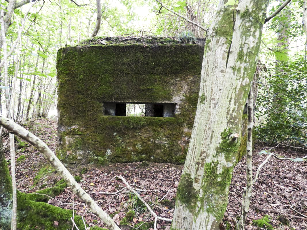 Ligne Maginot - BA50 - ALLÉE DES CHEVREUILS - (Blockhaus pour arme infanterie) - 