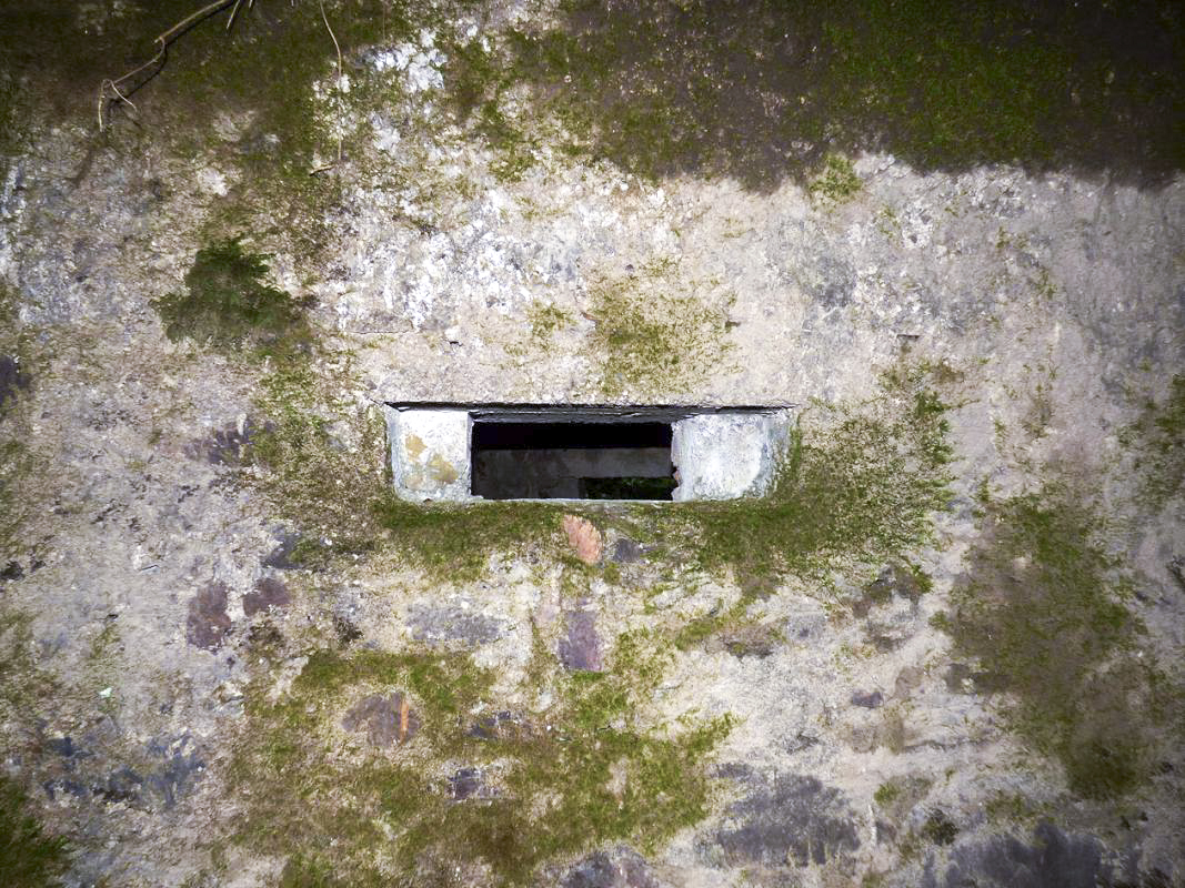 Ligne Maginot - BA50 - ALLÉE DES CHEVREUILS - (Blockhaus pour arme infanterie) - 