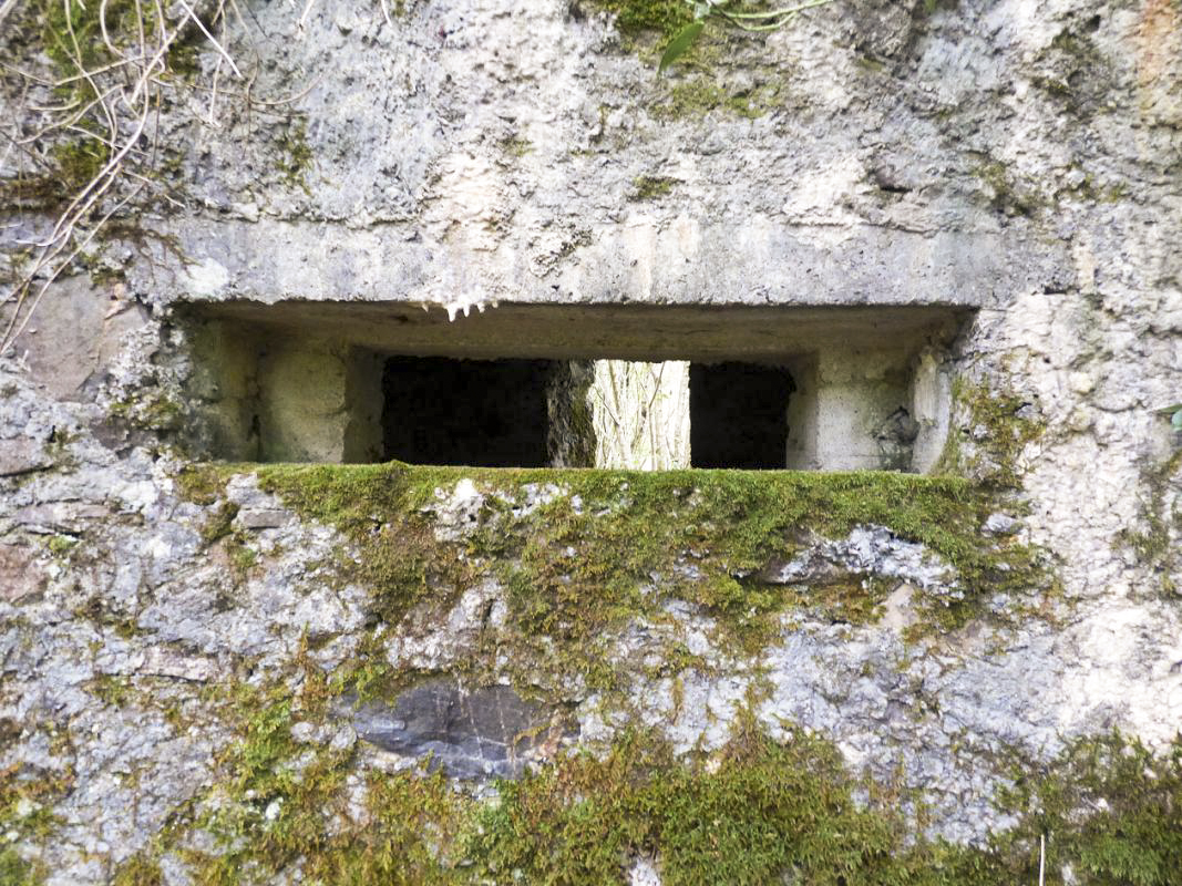 Ligne Maginot - BA50 - ALLÉE DES CHEVREUILS - (Blockhaus pour arme infanterie) - 