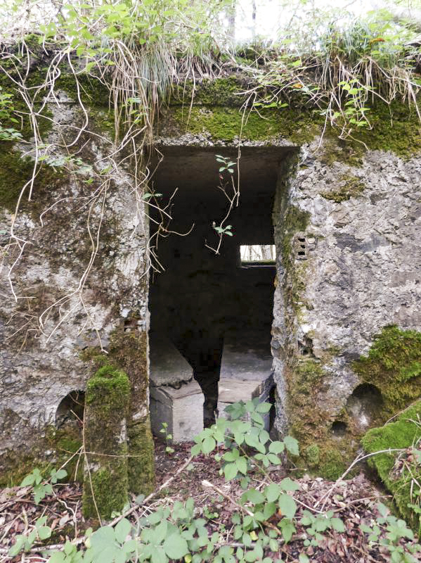 Ligne Maginot - BA50 - ALLÉE DES CHEVREUILS - (Blockhaus pour arme infanterie) - 