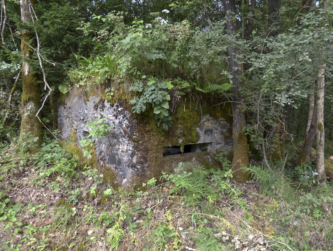 Ligne Maginot - BA52 - PONT DES HINGUES - (Blockhaus pour canon) - 