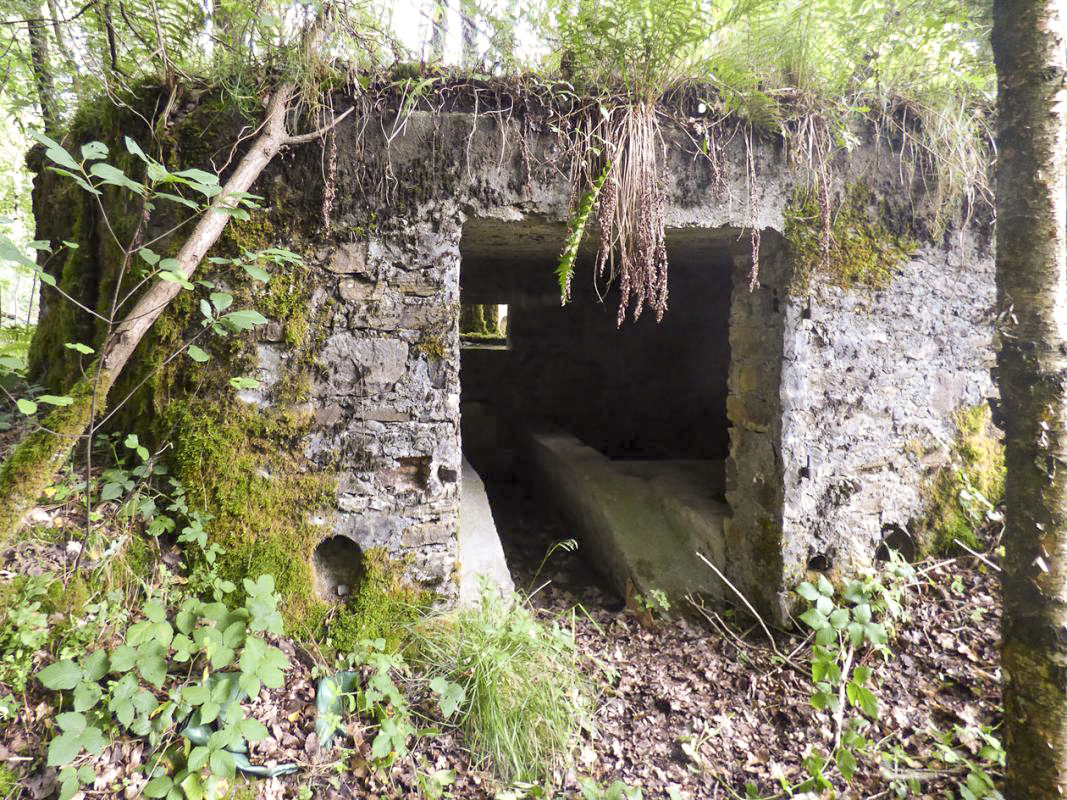 Ligne Maginot - BA52 - PONT DES HINGUES - (Blockhaus pour canon) - 