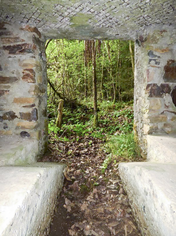 Ligne Maginot - BA52 - PONT DES HINGUES - (Blockhaus pour canon) - 