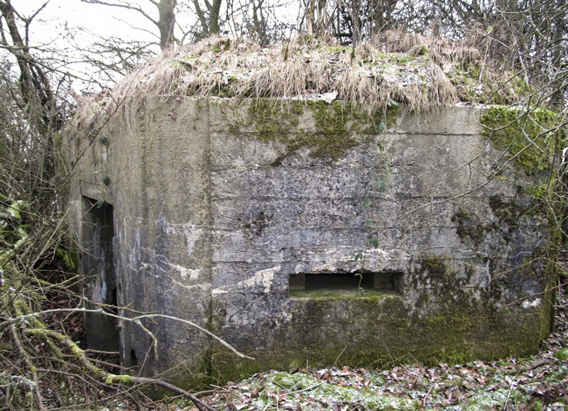 Ligne Maginot - BA58 - LE FRANC PRE SUD - (Blockhaus pour canon) - 