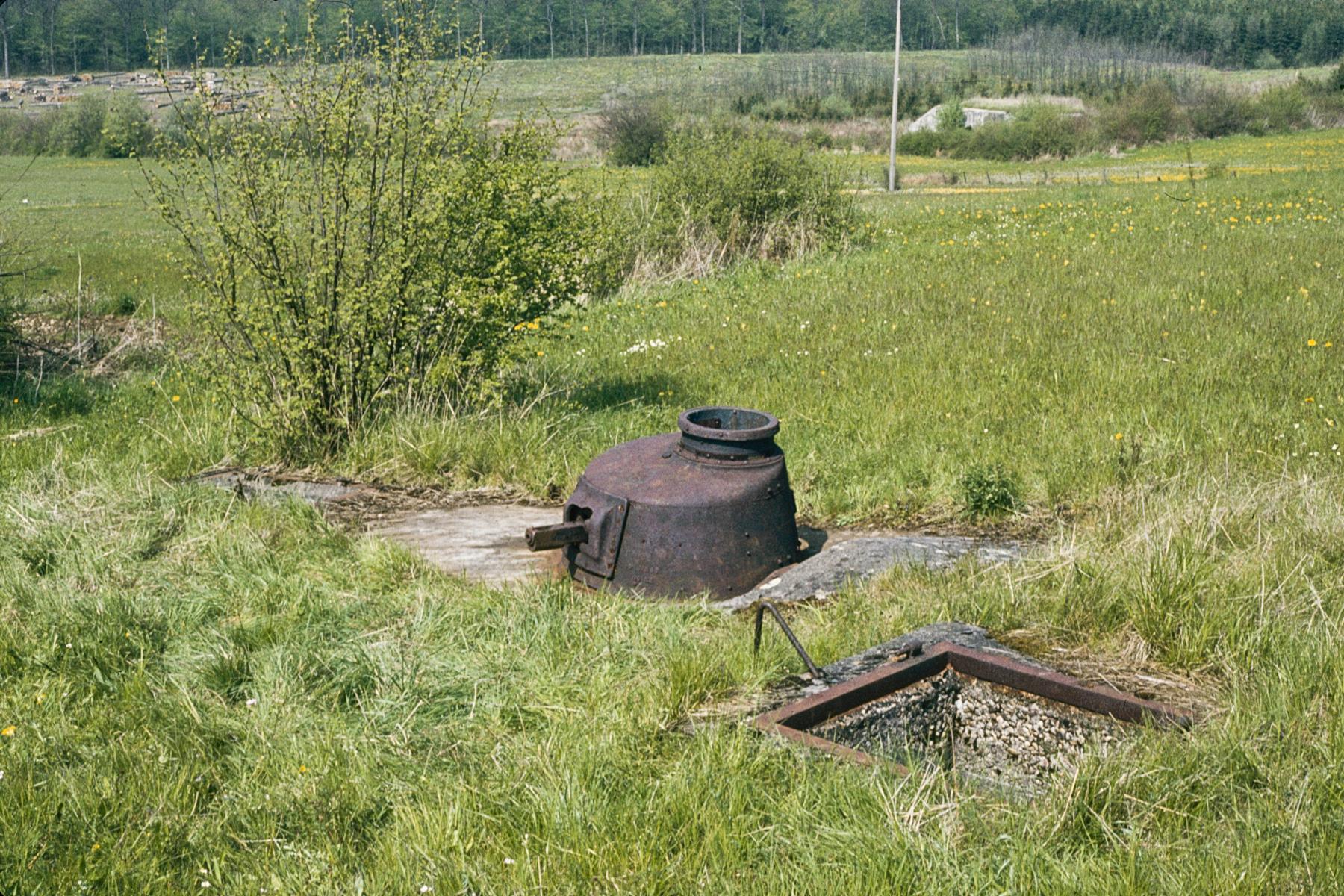 Ligne Maginot - NONNENWALD 4 - (Blockhaus pour arme infanterie) - Vue d'ensemble du blockhaus