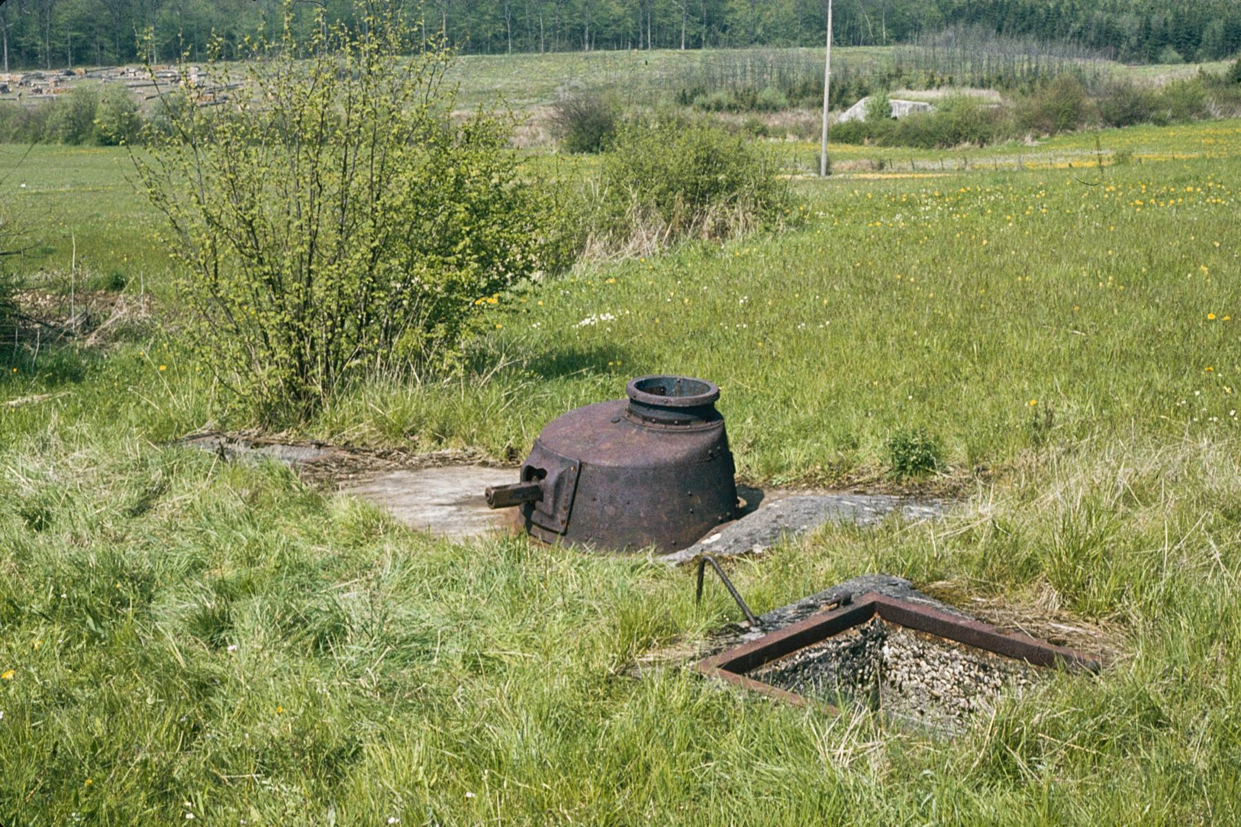 Ligne Maginot - NONNENWALD 3 (Blockhaus pour arme infanterie) - Vue d'ensemble du blockhaus