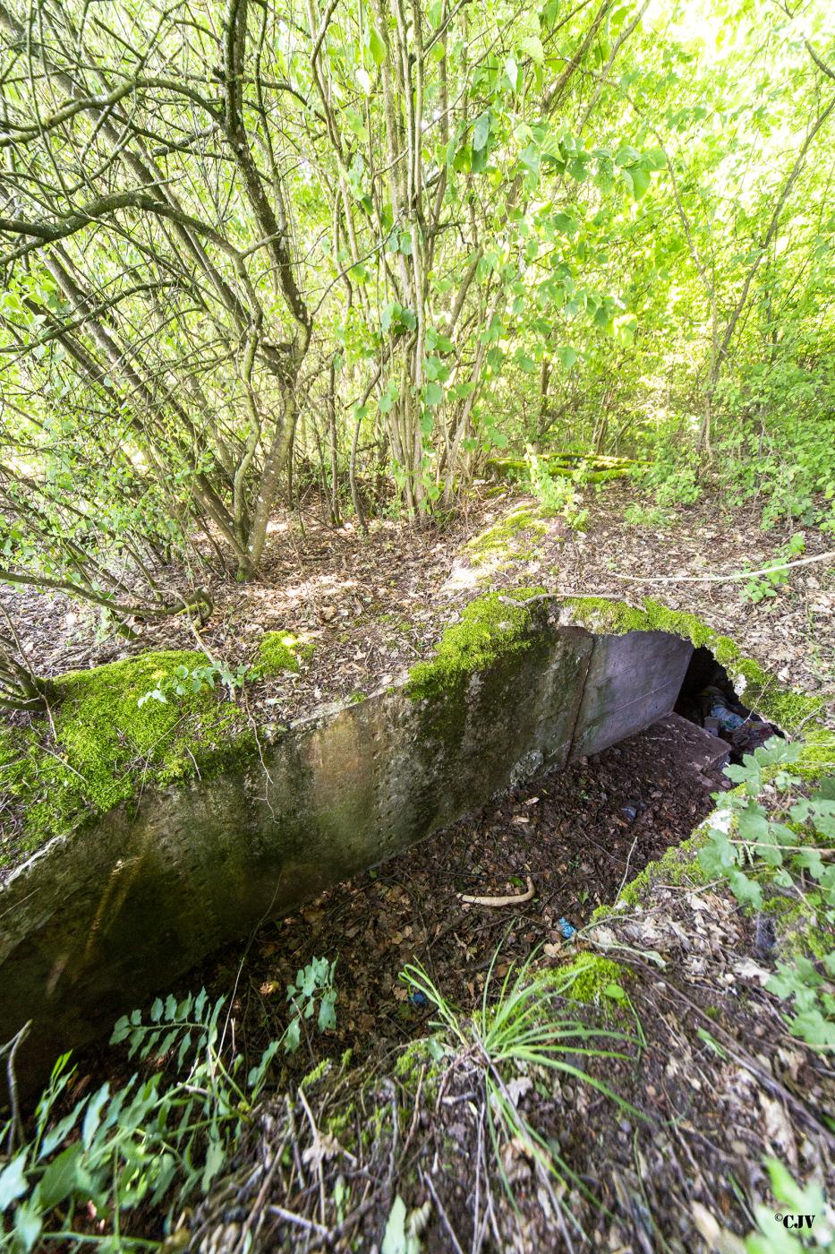 Ligne Maginot - MITTELSWALD 5 - (Blockhaus pour arme infanterie) - 