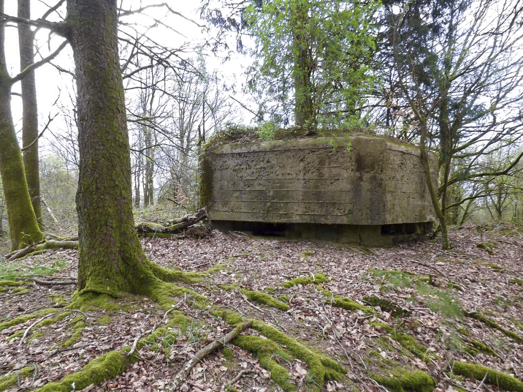 Ligne Maginot - BA83 - LA QUEUE D'ENFER - (Blockhaus pour canon) - 