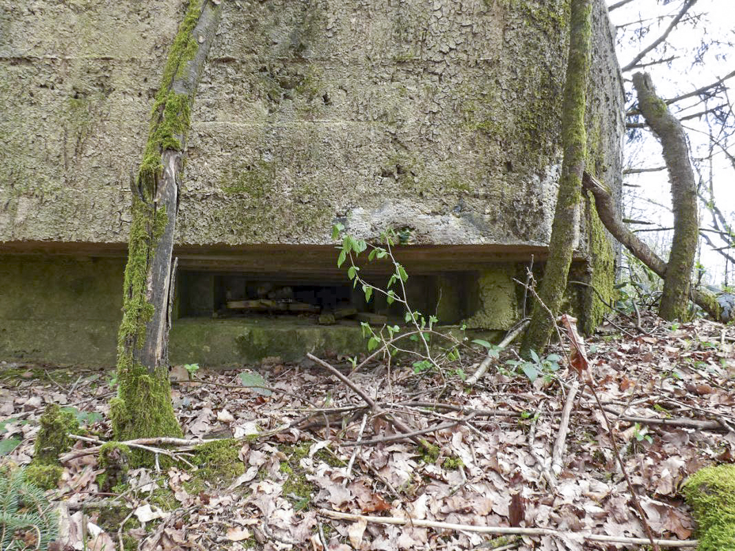 Ligne Maginot - BA83 - LA QUEUE D'ENFER - (Blockhaus pour canon) - 