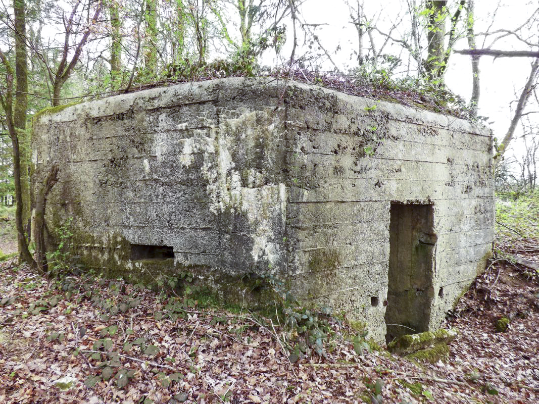 Ligne Maginot - BA83 - LA QUEUE D'ENFER - (Blockhaus pour canon) - 