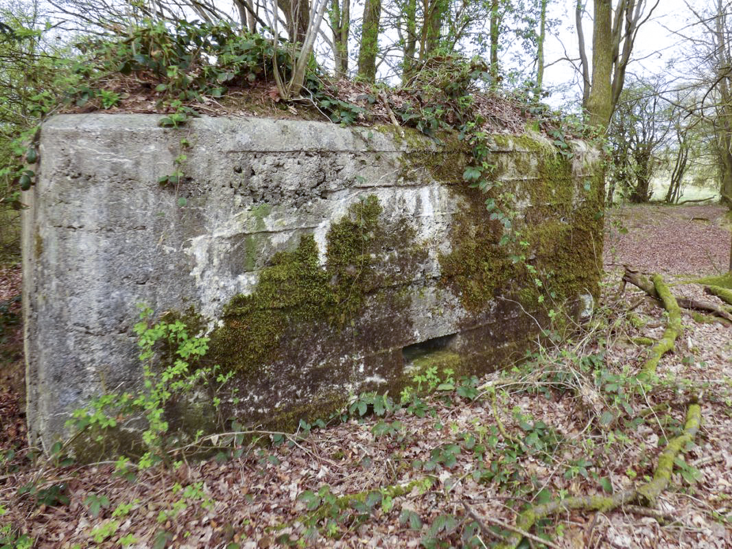 Ligne Maginot - BA83 - LA QUEUE D'ENFER - (Blockhaus pour canon) - 