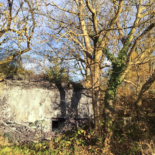 Ligne Maginot - 83 - SIERENTZ VOIE FERREE OUEST - (Casemate d'infanterie - Simple) - La casemate avant le début des travaux durant l'été 2015