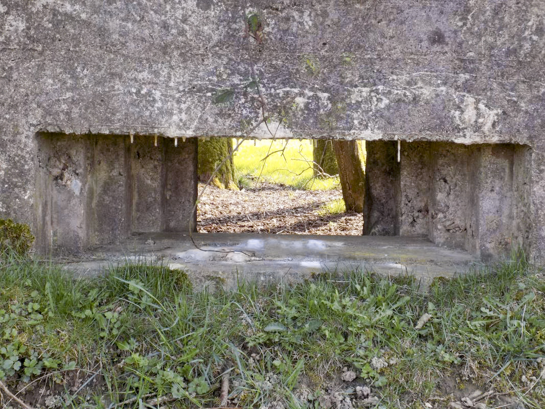 Ligne Maginot - BA95 - BOUT D'EN HAUT SUD - (Blockhaus pour canon) - Face frontale, créneau AC