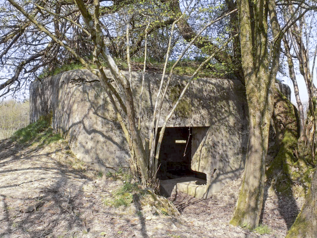 Ligne Maginot - BA95 - BOUT D'EN HAUT SUD - (Blockhaus pour canon) - L'arrière