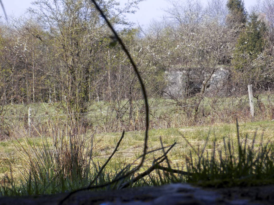 Ligne Maginot - BA95 - BOUT D'EN HAUT SUD - (Blockhaus pour canon) - Vue frontale du créneau AC, vers A56